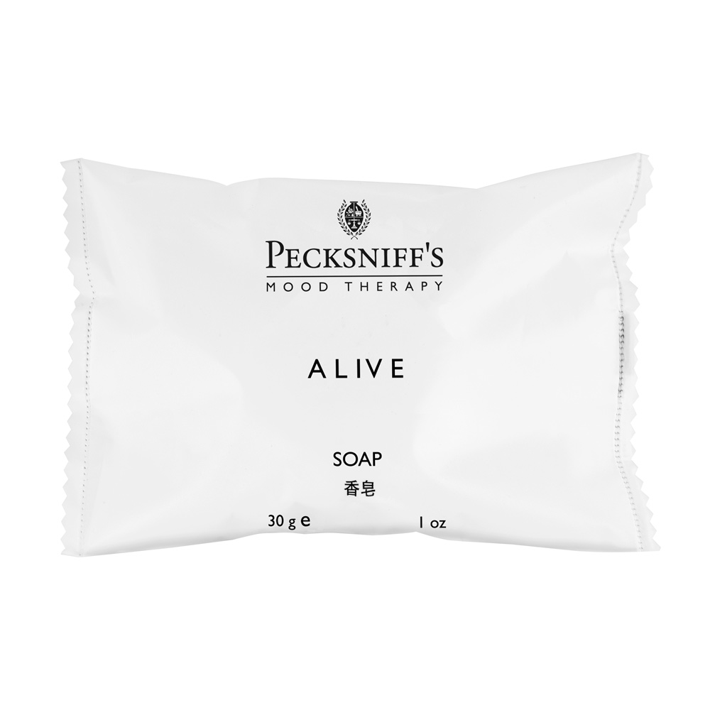 Soap | Pecksniff's | Gilchrist & Soames